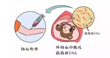 微信图片_20221109112658.png